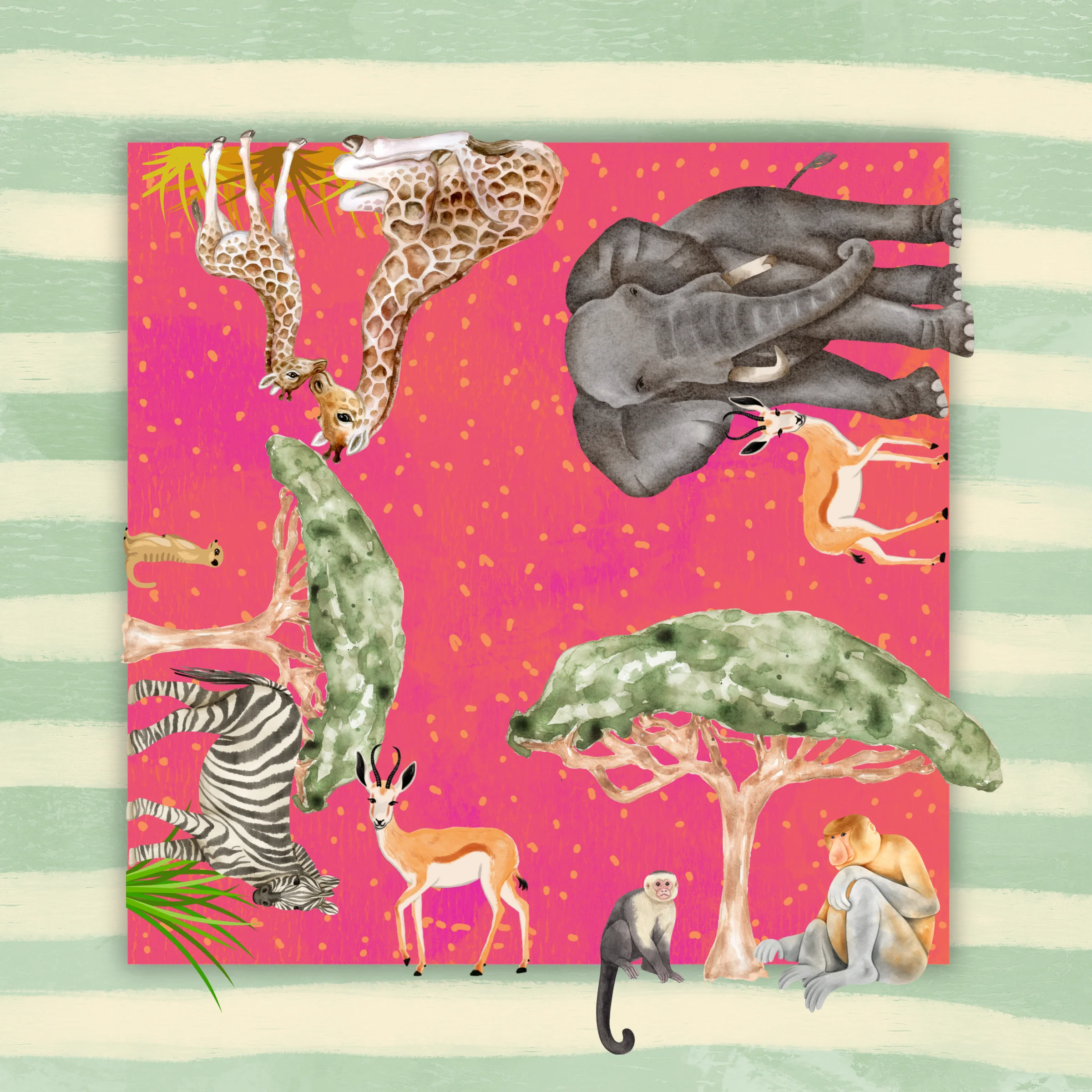 Out of Africa IN STOCK